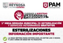Domingo de Esterilización y Servicios Veterinarios Gratuitos en Reynosa