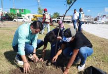 Rehabilitó Gobierno de Carlos Peña Ortiz parque de Col. Nuevo México