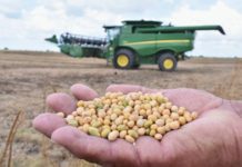 Arrancan siembras del ciclo agrícola Otoño-Invierno 2022-2023