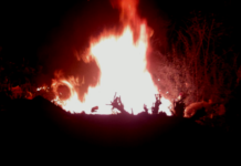 Bomberos acuden a sofocar incendio en predio baldío