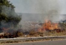Bomberos atienden llamados de incendio que dejaron daños materiales