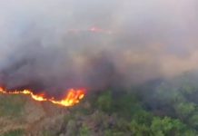 Bomberos sofocan incendio en pastizal y deja daños materiales