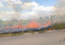 Bomberos sofocan predio con pastizal dejando daños y contaminación