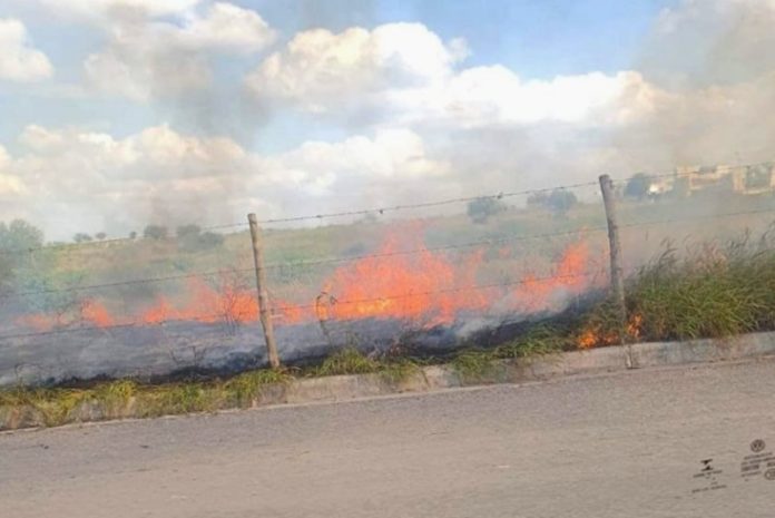 Bomberos sofocan predio con pastizal