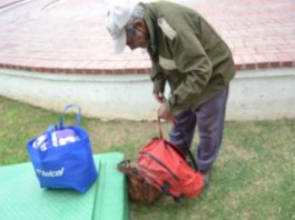 Tiene 89 años y quiere morirse en Guatemala, su tierra natal