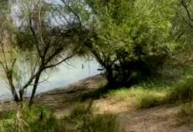 Hallan cadáver flotando sobre las aguas de río Bravo
