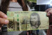 Circulación de billetes falsos comienza en noviembre