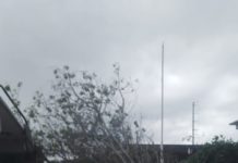 Caen dos árboles en secundaria de Madero