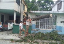 Árboles y tubos caídos, así como transformadores dañados dejó el norte en Tampico
