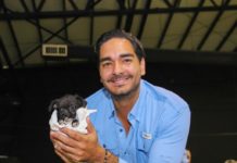 Realizan por primera vez en Reynosa Brigada a favor de más de 550 mascotas