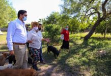 Invitan a mega brigada de esterilización y vacunación de animales