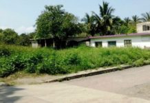 Ayuntamientos no deben cerrar los ojos, a la molestia ciudadana por terrenos abandonados