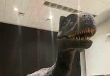 Llega “Tierra de Dinosaurios” a Ciudad Victoria