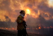 Claves para amortiguar el calentamiento global, una catástrofe que parece una obsesión de pocos pero es una urgencia masiva