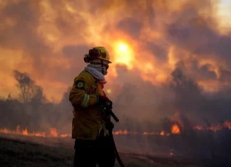 Claves para amortiguar el calentamiento global, una catástrofe que parece una obsesión de pocos pero es una urgencia masiva