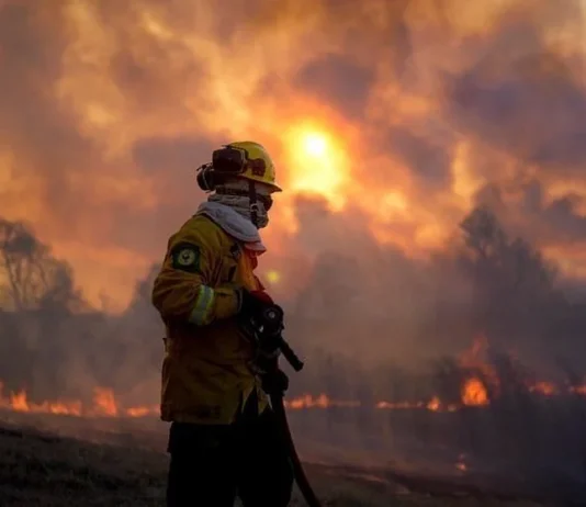 Claves para amortiguar el calentamiento global, una catástrofe que parece una obsesión de pocos pero es una urgencia masiva