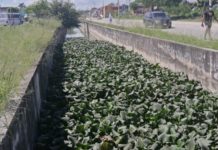 Vecinos aseguran que canal en Santa Elena está infestado de cocodrilos
