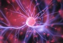 Un grupo de células cerebrales ‘in vitro’ aprende a jugar con un videojuego (VIDEO)