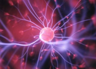 Un grupo de células cerebrales ‘in vitro’ aprende a jugar con un videojuego (VIDEO)