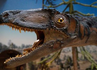 Mujer asegura que un dinosaurio merodea su jardín