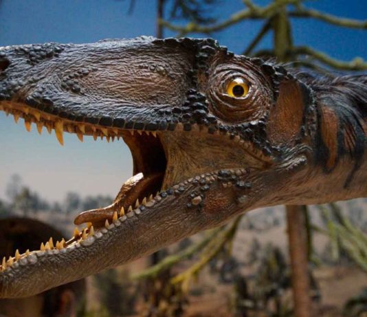 Mujer asegura que un dinosaurio merodea su jardín