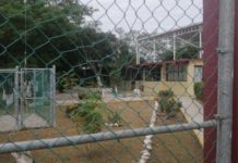 Ninguna autoridad de esta escuela ha ofrecido versión sobre supuesto maltrato de alumno