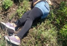 Ya suman 15 los feminicidios en Tamaulipas