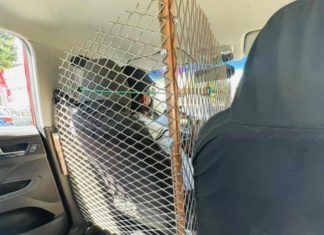 ‘Cálmese, don; si no es gallo’, taxista se viraliza por su sistema de seguridad