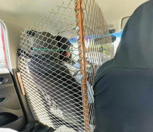 ‘Cálmese, don; si no es gallo’, taxista se viraliza por su sistema de seguridad