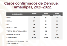 Llego el dengue; confirman 7 casos