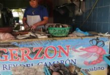 Temen crisis en venta de pescados por marea roja