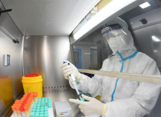 Crean en EE.UU. una nueva cepa del coronavirus que causa un 80% de mortalidad en ratones