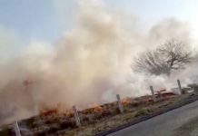 Bomberos sofocan pastizales dejando daños y contaminación ambiental