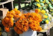 Floristas esperan ventas en “Dia de Muertos”