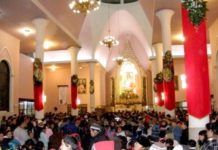 Grey Católica inicia preparativos para las peregrinaciones a la Virgen de Guadalupe