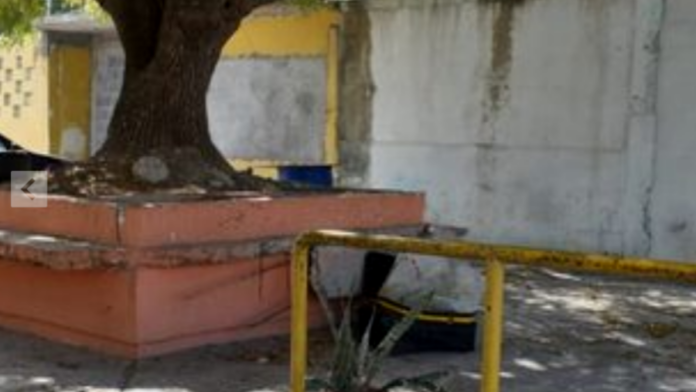 Maleta con olores f_tidos moviliza a autoridades policiales