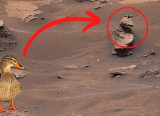 El rover Curiosity de la NASA acaba de captar un «pato» en Marte