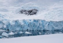 Descubren que hay vida microscópica debajo de los bloques de hielo de la Antártida