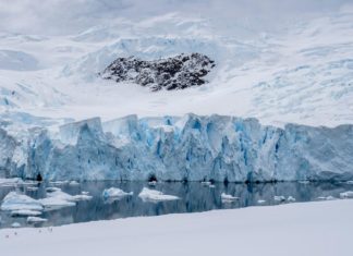 Descubren que hay vida microscópica debajo de los bloques de hielo de la Antártida