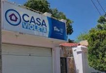 Pide PAN reabrir las Casas Violeta
