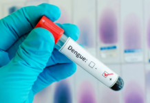 Se duplican casos sospechosos de dengue; ya suman 528