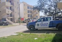 Llegarán más polis al sur