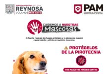 Uso de pirotecnia afecta a mascotas: Gobierno de Reynosa