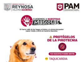 Uso de pirotecnia afecta a mascotas: Gobierno de Reynosa
