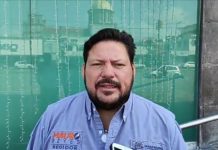 Analizarán sobre población de cocodrilos en la zona