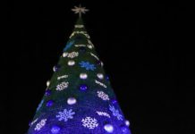 Espectacular Encendido del Monumental Pino Navideño