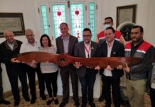 Invertirán 45 mdp en el proyecto Museo de Tampico, registra 70 % de avance