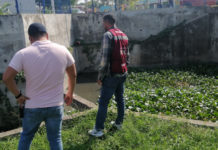 Alerta por presencia de cocodrilo en canal a cielo abierto