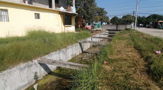 Alarma por presencia de 3 cocodrilos en El Edén