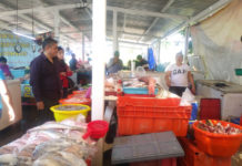 Locatarios de “la Puntilla” que están en el Bordo de Protección de la Cascajalconfían repunten sus ventas